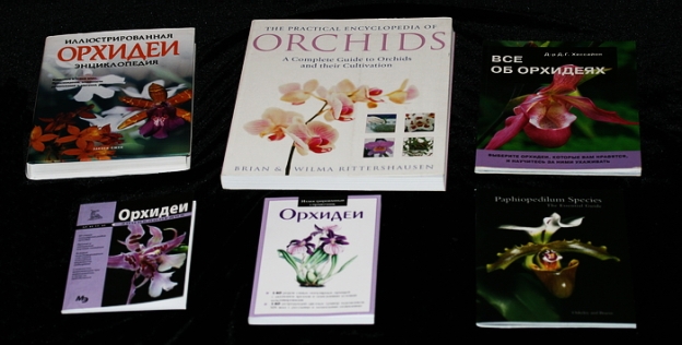 Orhidejas